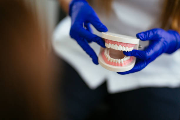Why Choose Us for Your Dental Needs in Sheboygan, WI
